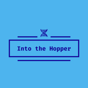 Into the Hopper Podcast